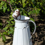 Broc métal émaillé déco brocante Antic Line